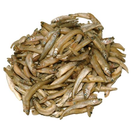 Apróhal Aquadella (5-8 cm/db) 10x1kg (Atherina boyeri)
