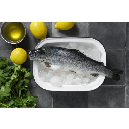 Pisztráng belezett 250-300g 10%gl 1x5kg (Oncorhynchus mykiss)