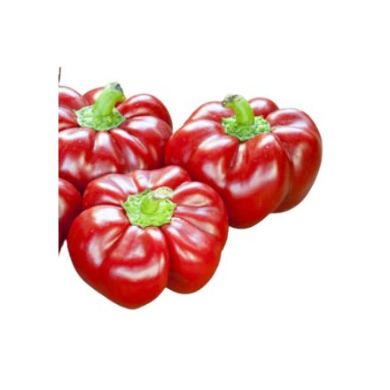 Piros Pritaminpaprika kocka ömlesztett 10kg