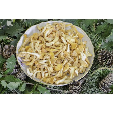 Erdei Rókagomba darabolt 8x1 kg